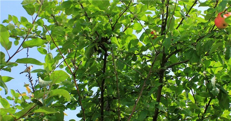 Сентябрьское путешествие в Старицу. Старицкий Свято-Успенский Монастырь (фото 10)