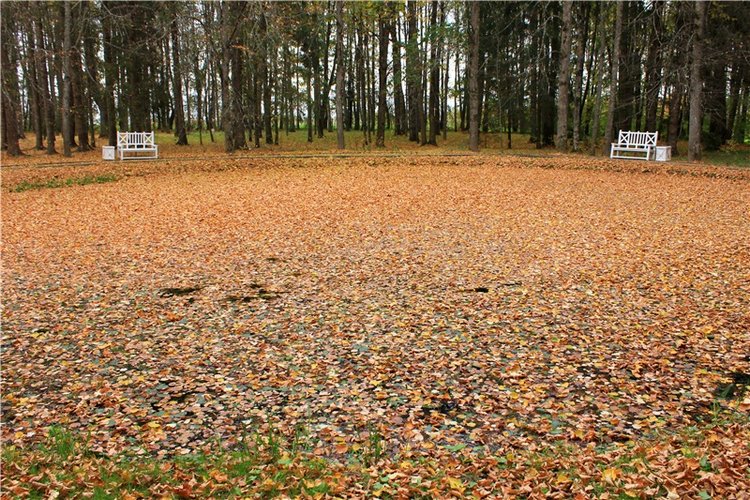 Золотая Осень в Берново с Имани. Mini Imani от Kaye Wiggs