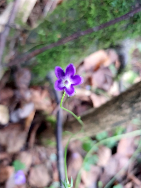 Путешествие по Святым местам Тверской области