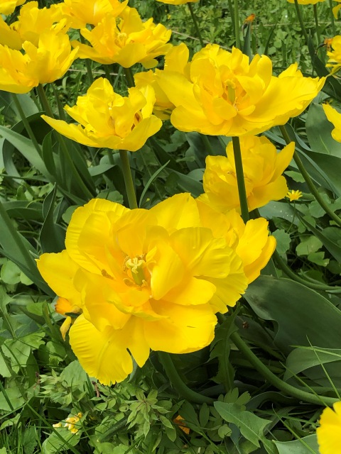 Тони Старк: приключения без брони. Был месяц май, половина вторая