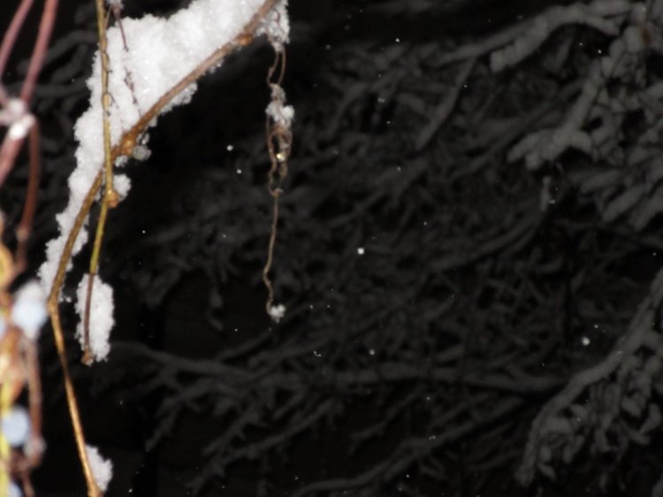 Король зимы — Разные шарнирные куклы (не БЖД): редкие