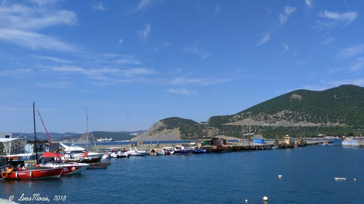 Kidz' тур. Юлино лето — Куклы Kidz'n'Cats (Соня Хартман): шарнирные 46 см (фото 6)