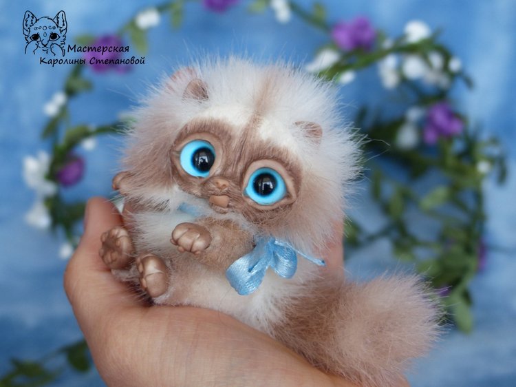 Сиамский котенок, пушистик, миниатюра (фото 7)