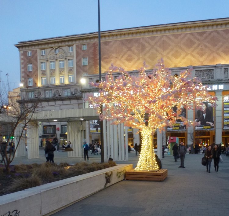 Мой родной любимый город, выставка Мишек и немного о Москве