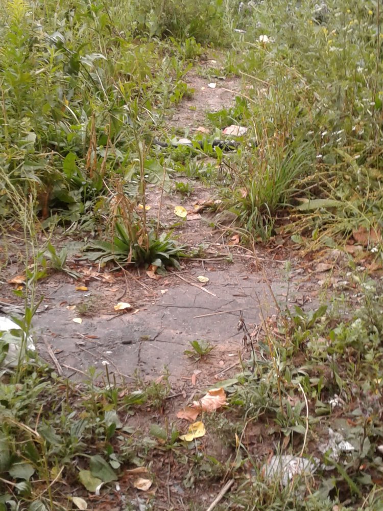 Кто же там, в малиннике — Куклы и тела Obitsu (Обитсу): 1/6