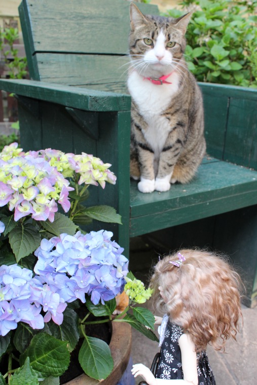 Поиск образа для Розочки. Знакомство с садом