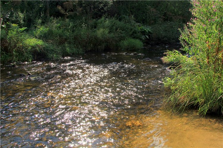 Старицкая Швейцария. Путешествие Мии. Minifee Miyu FairlyLand | Бэйбики Старицкая Швейцария. Путешествие Мии. Minifee Miyu FairlyLand