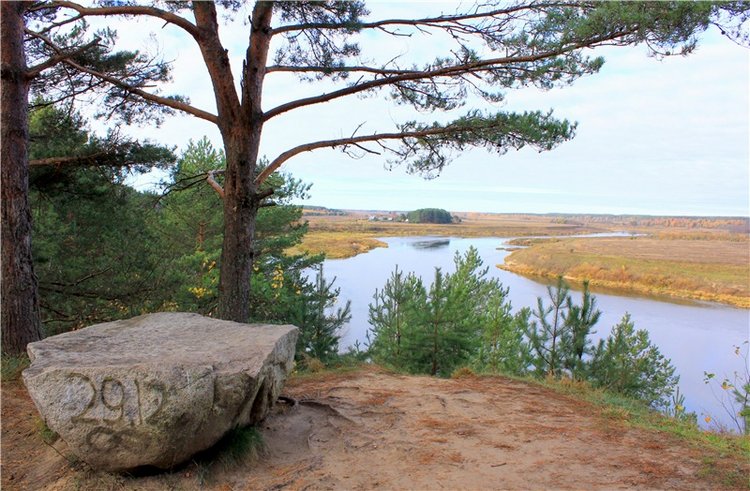 Ромашковый октябрь. Zwergnase Mischa