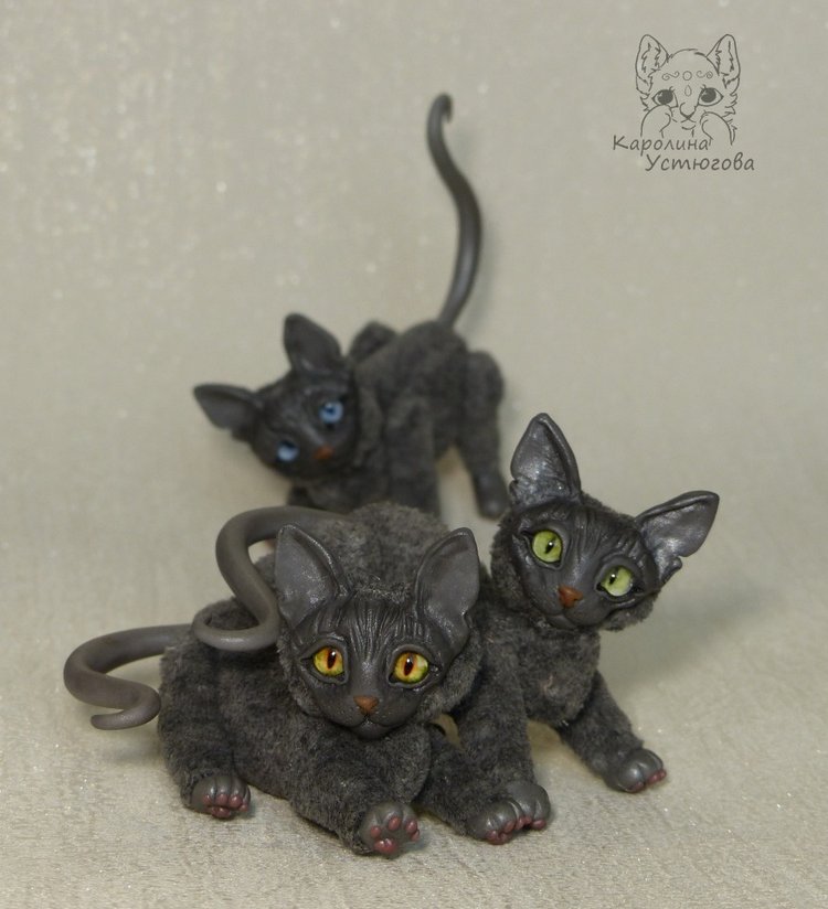 Миниатюрные серые Сфинксы (фото 4)
