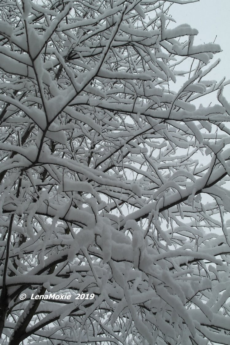 Время длинных шарфов — Игровые куклы Zwergnase (Цвергназе) Junior: Джуниор