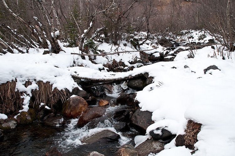 30 марта — народный праздник Алексей Теплый