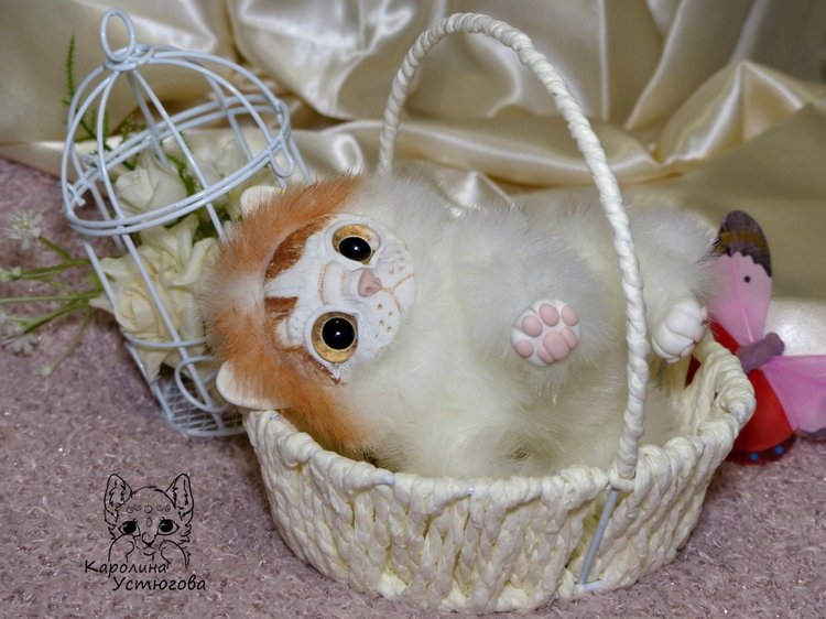 Обыкновенный котенок и его день (фото 2)