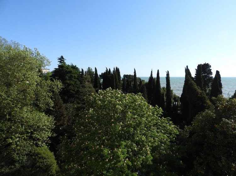 Сочи-Адлер: Южное Взморье - виртуальное путешествие по территории санатория