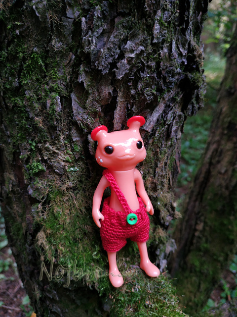 Wonderfrog. Красота в простоте. Часть 2