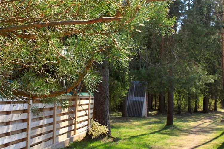 Савватьева Пустынь, Тверская область (фото 5)