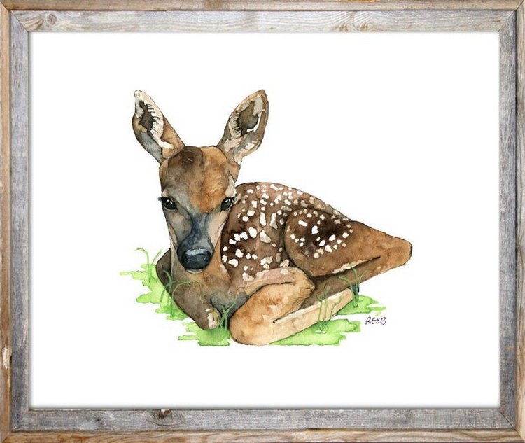 TheColorfulCatStudio - Иллюстрированная фауна by Rachel Byler