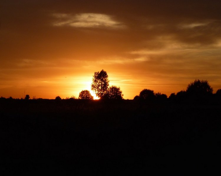 Отдых в деревне с Джой — Туризм и путешествия: фотоотчеты из поездок