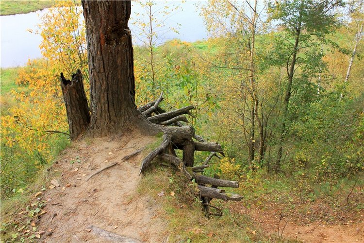 Путешествие Имани на Волгу, продолжение. Mini Imani от Kaye Wiggs