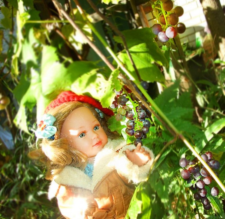 Линка и Иришка - сборщицы винограда | Бэйбики Линка и Иришка - сборщицы винограда (фото 2)