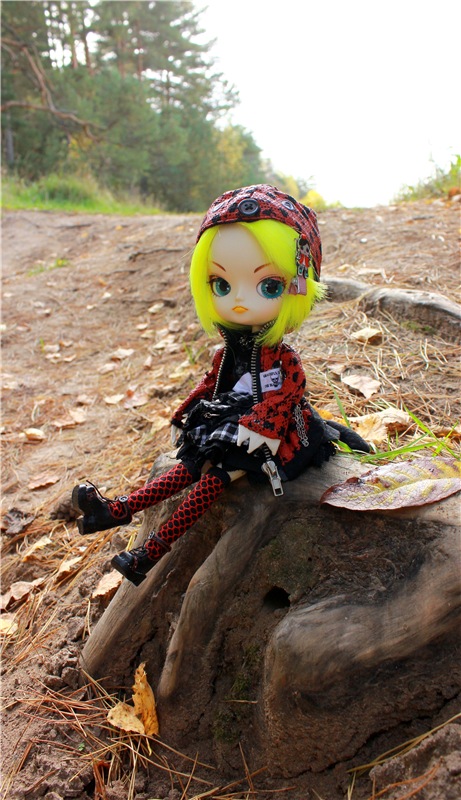 Dal Hangry на Волге — Куклы Pullip (Пуллип) (фото 7)