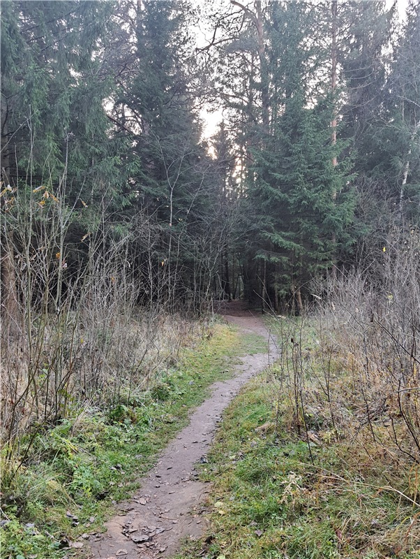 Путешествие по Святым местам Тверской области (фото 2)