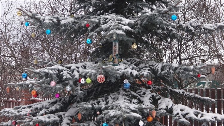 Счастье есть! Продолжение