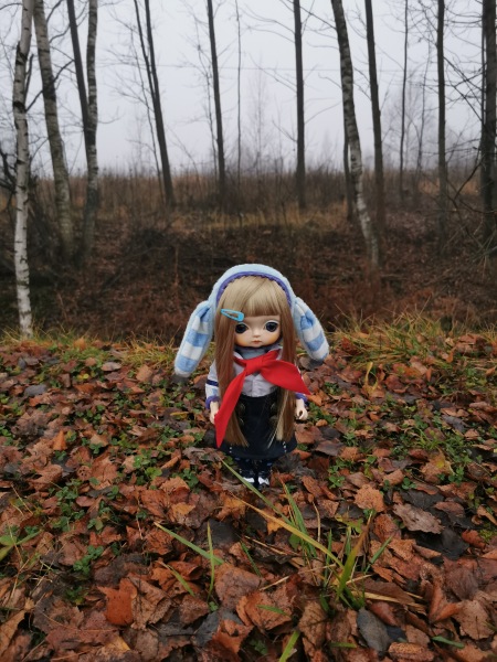 Toffee doll. Возвращение в коллекцию