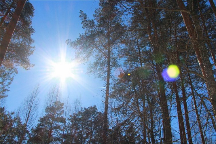 Девочка Весна. Strobile & Wilken Doll