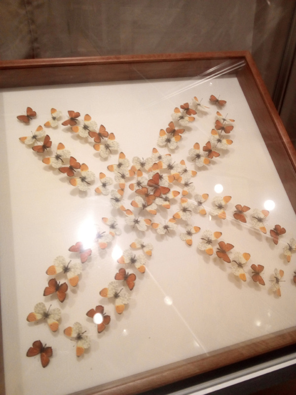 Живые цветы — Болталка и разговоры обо всем: жизнь (фото 7)