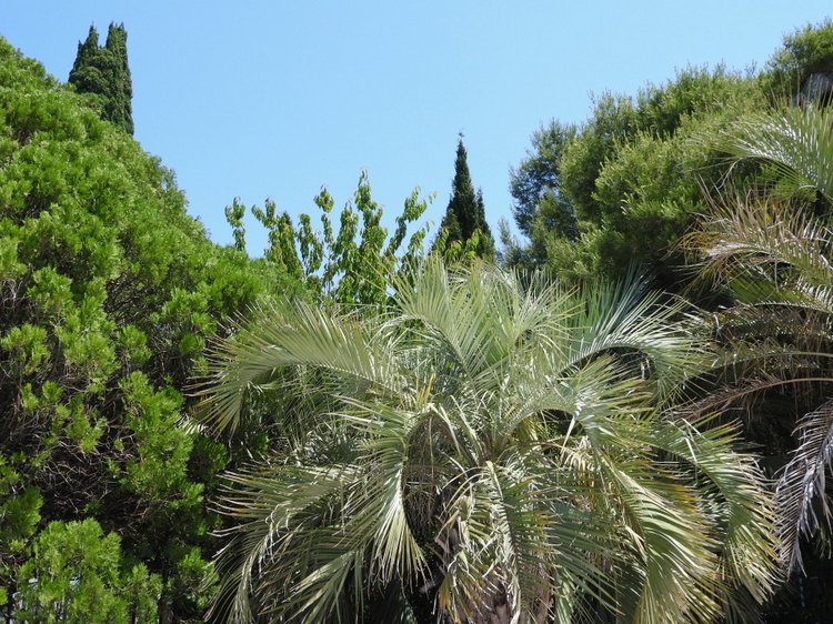 Краснодарский Край, Сочи-Адлер, Санаторий «Южное Взморье»