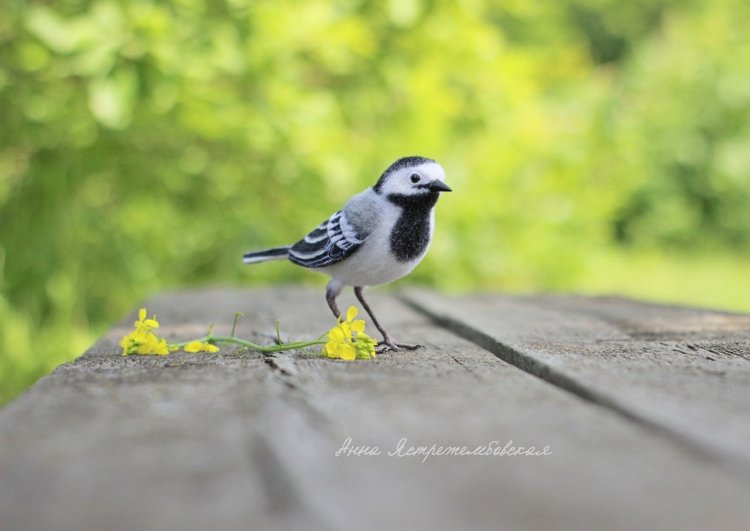 Белая трясогузка — Валяные игрушки из шерсти: сухое валяние (фото 3)