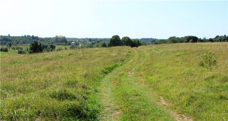 Инопланетянка Нийя. Custom Blythe Doll UFO Go Go Takara