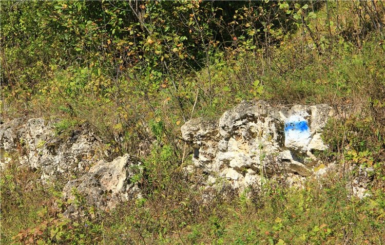Старицкая Швейцария. Старицкие пещеры, д. Толпино, заключительная часть