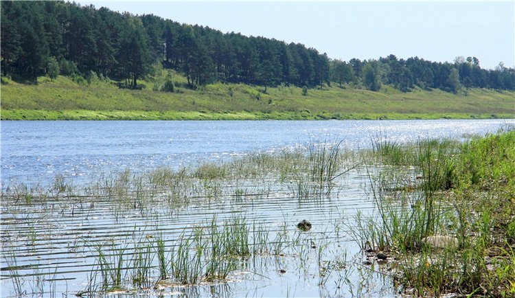 Старицкая Швейцария. Путешествие Мии. Minifee Miyu FairlyLand | Бэйбики Старицкая Швейцария. Путешествие Мии. Minifee Miyu FairlyLand