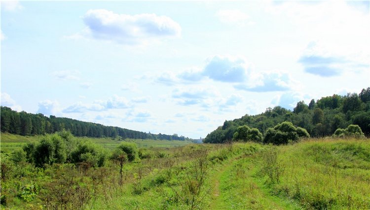 Старицкая Швейцария. Путешествие с Сашей, продолжение. Уникальная кукла от Сильвии Наттерер