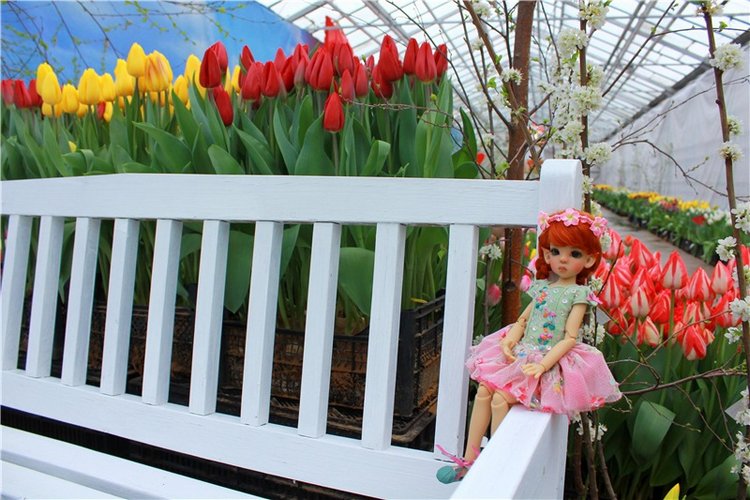 Тюльпановый Рай, продолжение. Выставка тюльпанов в Твери. Mini Layla elf Sunkissed skin от Kaye Wiggs