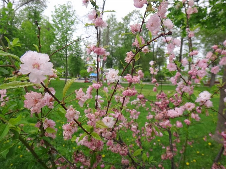 Милый мой город. Прогулка по Твери, заключительная часть