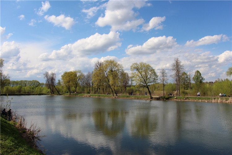 Один раз в год сады цветут (фото 3)