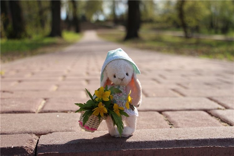 Один раз в год сады цветут