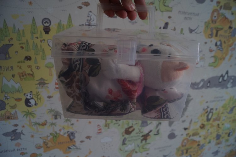 Как Агаша кошечку шила — Другие хобби и увлечения: сад