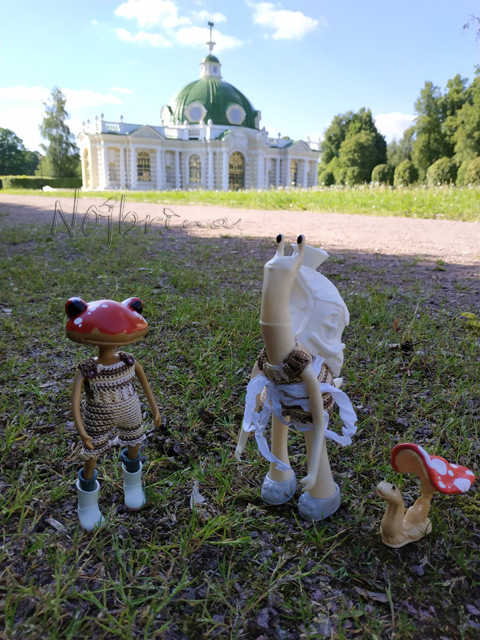 Wonderfrog. Красота в простоте