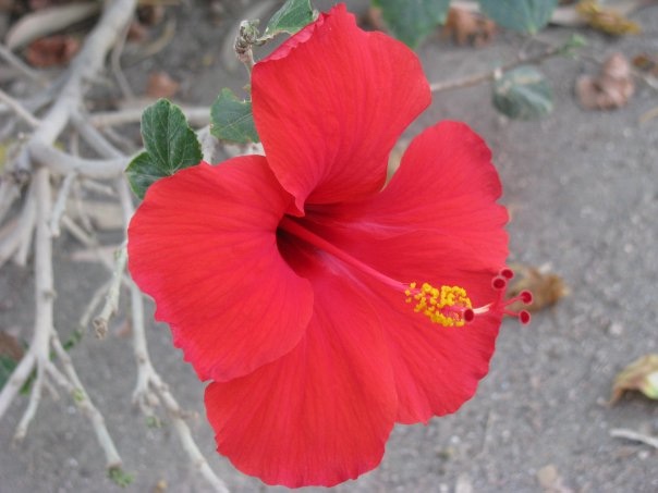 Путешествие на о. Кипр — Туризм и путешествия: фотоотчеты из поездок