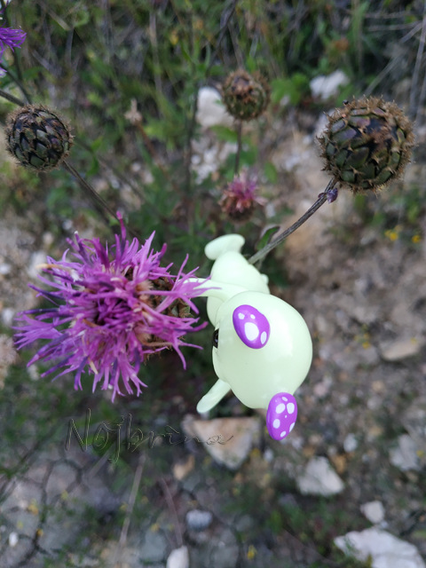 Wonderfrog. Красота в простоте