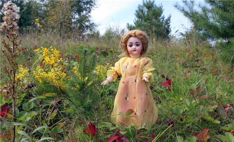 Странница во времени — Антикварные куклы Simon & Halbig (S&H): Симон Хальбиг