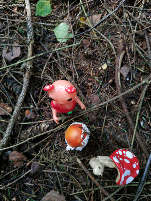 Wonderfrog. Красота в простоте. Часть 2