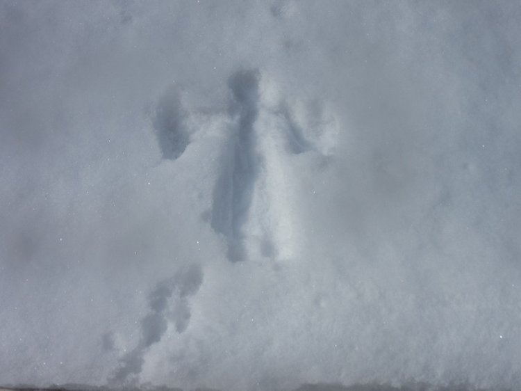 Кисловодские приключения. Шо, опять