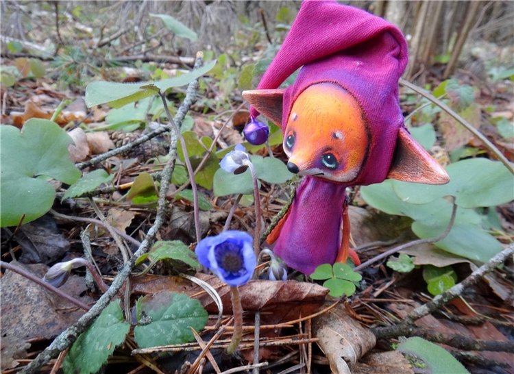 23 февраля - расцвели синие подснежники