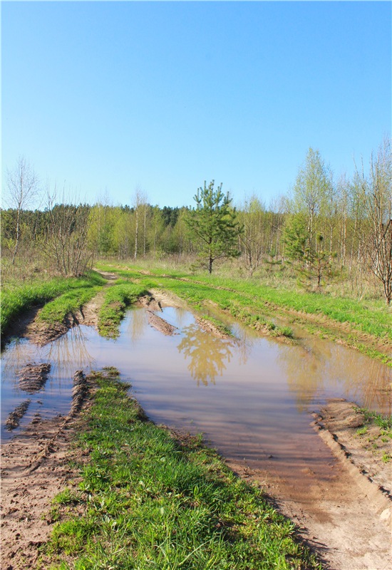 Прогулка Софи. Lati HoneyBee New Mystic Sophie | Бэйбики Прогулка Софи. Lati HoneyBee New Mystic Sophie