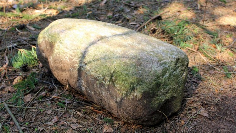 Савватьева Пустынь, Тверская область