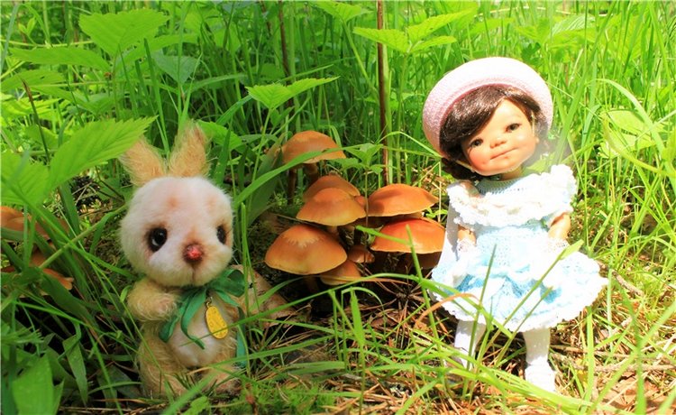 Ландышевый Лес. Twinkles Ella Chocolate